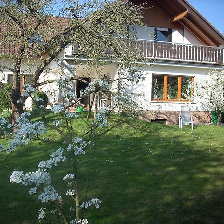 Ferienwohnung Lahntal/Taunus Huttenberg Zewnętrze zdjęcie