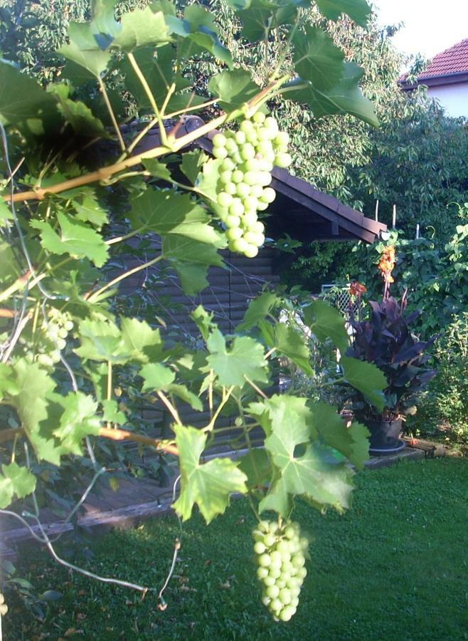 Ferienwohnung Lahntal/Taunus Huttenberg Zewnętrze zdjęcie